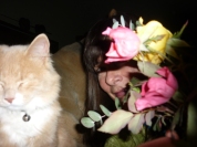Flower girl with cat